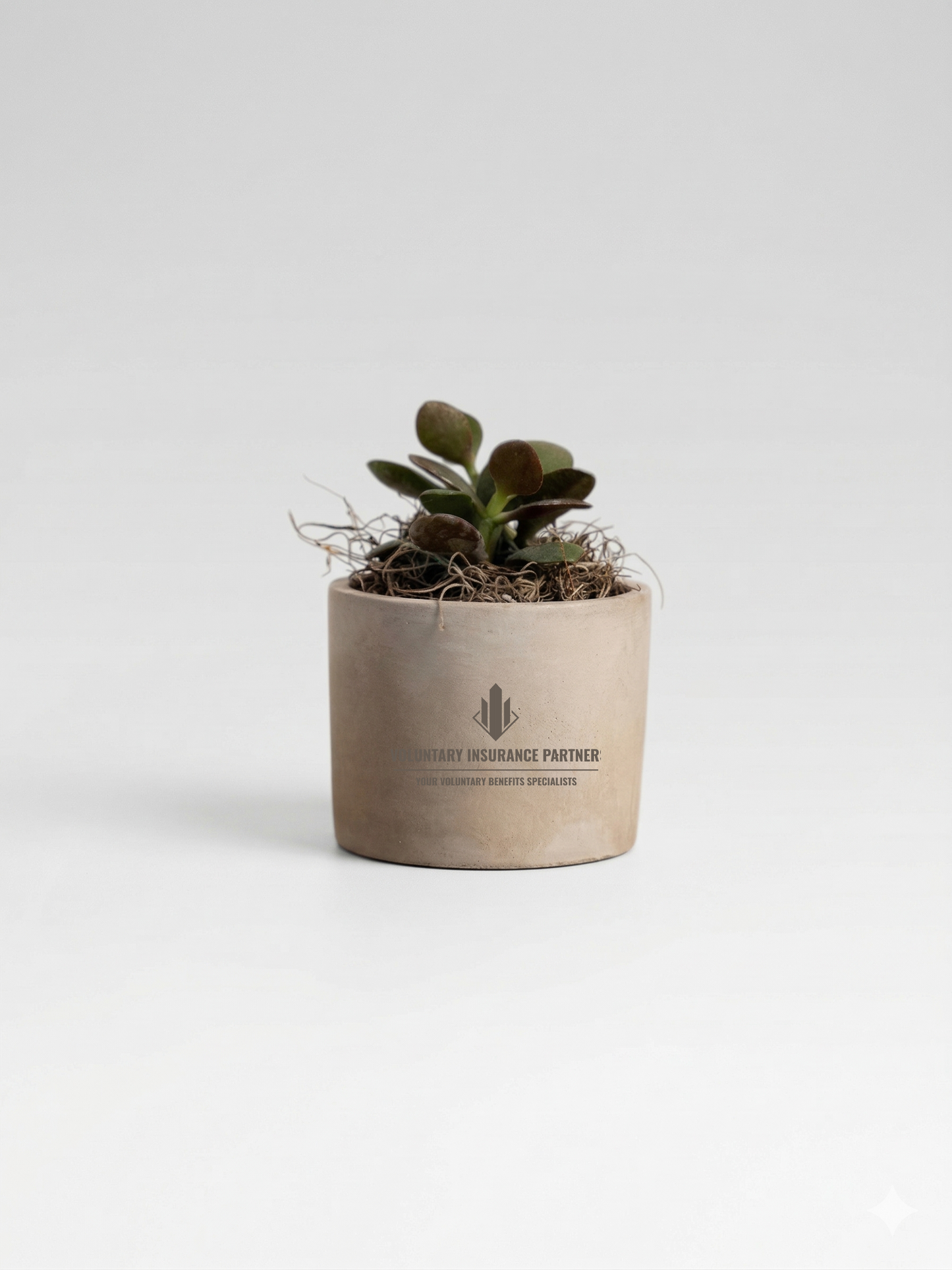 Mini Parker Concrete Plant